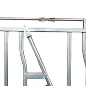 Đứng đầu bò 1000mm